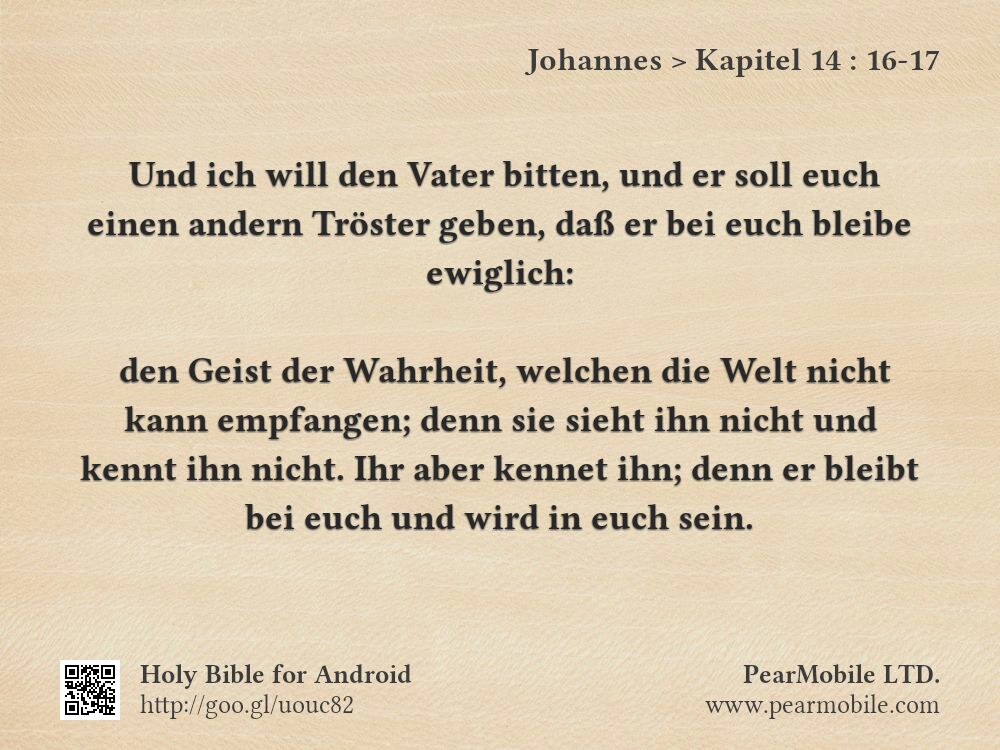 Johannes, Kapitel 14:16-17